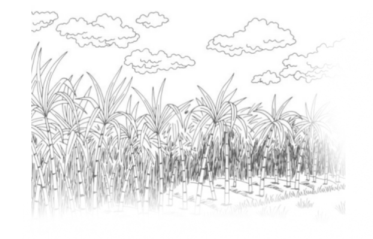 Untitled design (36)